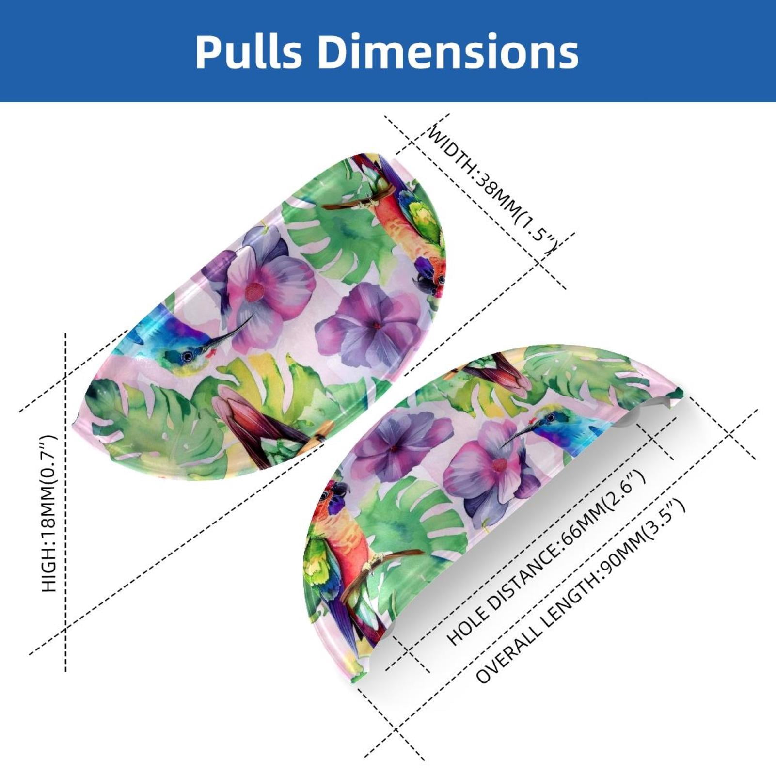 PhooArto 6 Pcs Cup Drawer Pulls, Parrots Bird Watercolor Pattern Shell Shape Handles Cabinet Knobs for Dresser Cupboard Closet Wardrobe with Screws