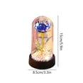 thumbnail image 3 of YANHAIGONG Valentines Rose Gifts for Her ,Mother's Day Flower Gifts for Women, Galaxy Purple Rose in Glass Dome, Light Up Forever Rose Birthday Gifts for Mom Anniversary Eternal Rose Gift, 3 of 5