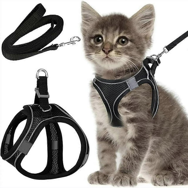 Laisse pour Chat avec Harnais pour Chats, Harnais pour Chat avec Laisse, Ensemble de Harnais pour Chat Anti-Évasion avec Laisse pour Chats, Chatons, Chiens, Chiots (TTP)