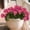 B, variant on Holloyiver ABC Outdoor Artificial Geraniums, Realistic Garden Artificial Flowers for Home Kitchen Dining Table Patio Decoration