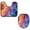 Multicolor 2, variant on PhooArto Toilet Lid Cover and U-Shaped Toilet Floor Mat Set of 2 Pieces, Cartoon Eiffel Tower Toilet Mat Set, Machine Washable Seat Covers Non-Slip Absorbent Rugs