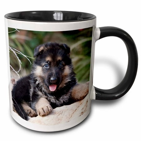 3dRose German Shepherd puppy dog in tall grasses - NA02 ZMU0141 - Zandria Muench Beraldo - Two Tone Black Mug,