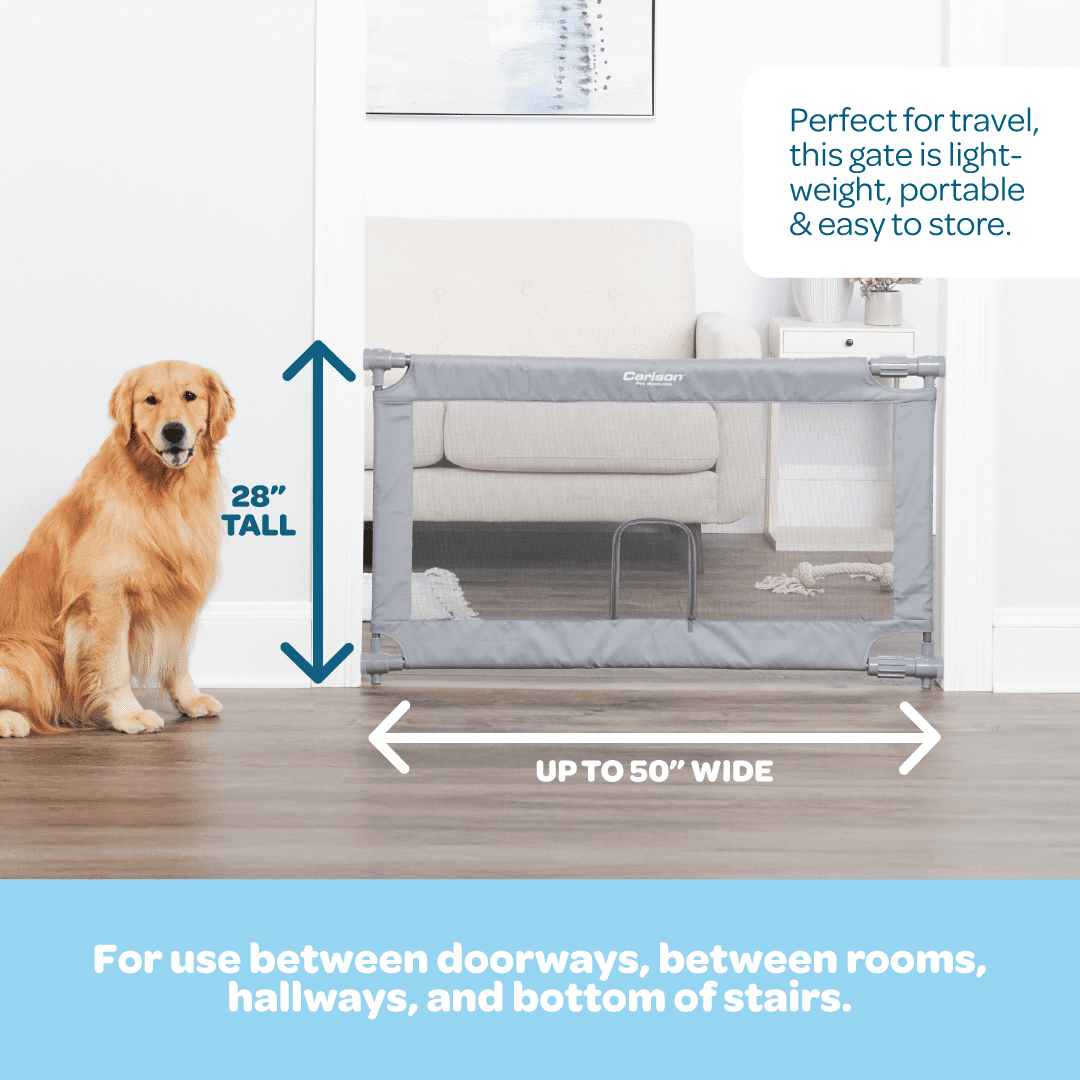 Carlson Extra Wide Gray Mesh Expandable Pet Gate with Small Pet Door, Mesh, includes Rubber Bumpers, Doors and Hallways