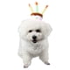 thumbnail image 2 of Sombrero de cumpleaños para perro, sombrero de pastel de cumpleaños para mascotas con vela para disfraz de fiesta de perro y gato TUNC Sencillez, 2 of 2