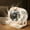 🔥 White_New, variant on Dianli Gifts Rechargeable 6in Desktop Fan 100‑Speed Digital Circulation Fan With Night Light, Compact High‑Flow USB Table Fan For Home Office Bedroom Dorm With Adjustable Angles