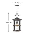 thumbnail image 3 of 1 Light Medium Outdoor Hanging Lantern In Coastal Style 9 Inches Wide By 17.75 Inches High-Aged Zinc Finish-Led Lamping Type-12 Voltage Hinkley, 3 of 4