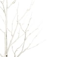 thumbnail image 2 of Vickerman 4' White Birch Twig Tree, Warm White 3mm Wide Angle LED lights., 2 of 7