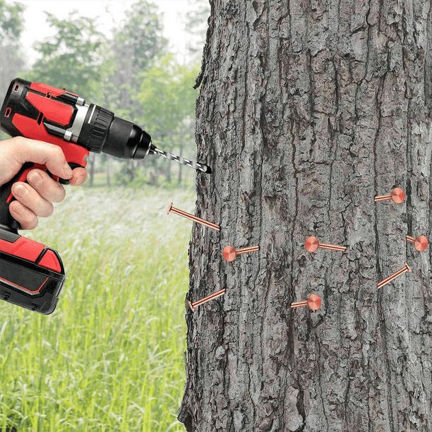 Robbox Xdrill Robbox Drill Cost Robbox Drill Discount