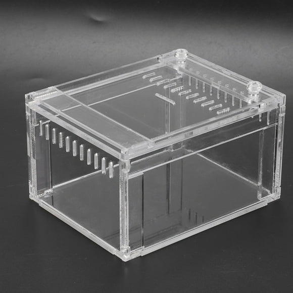 Acrylic Transparent Flameer Reptile Breeding Box Reptiles Reptile Feeding Box Food Container Pets Snakes Turtles Terrarium