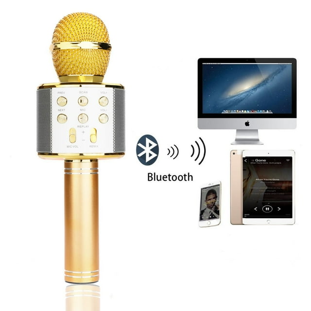 WS-858 Wireless Bluetooth Karaoke Handheld Microphone with Mic Speaker
