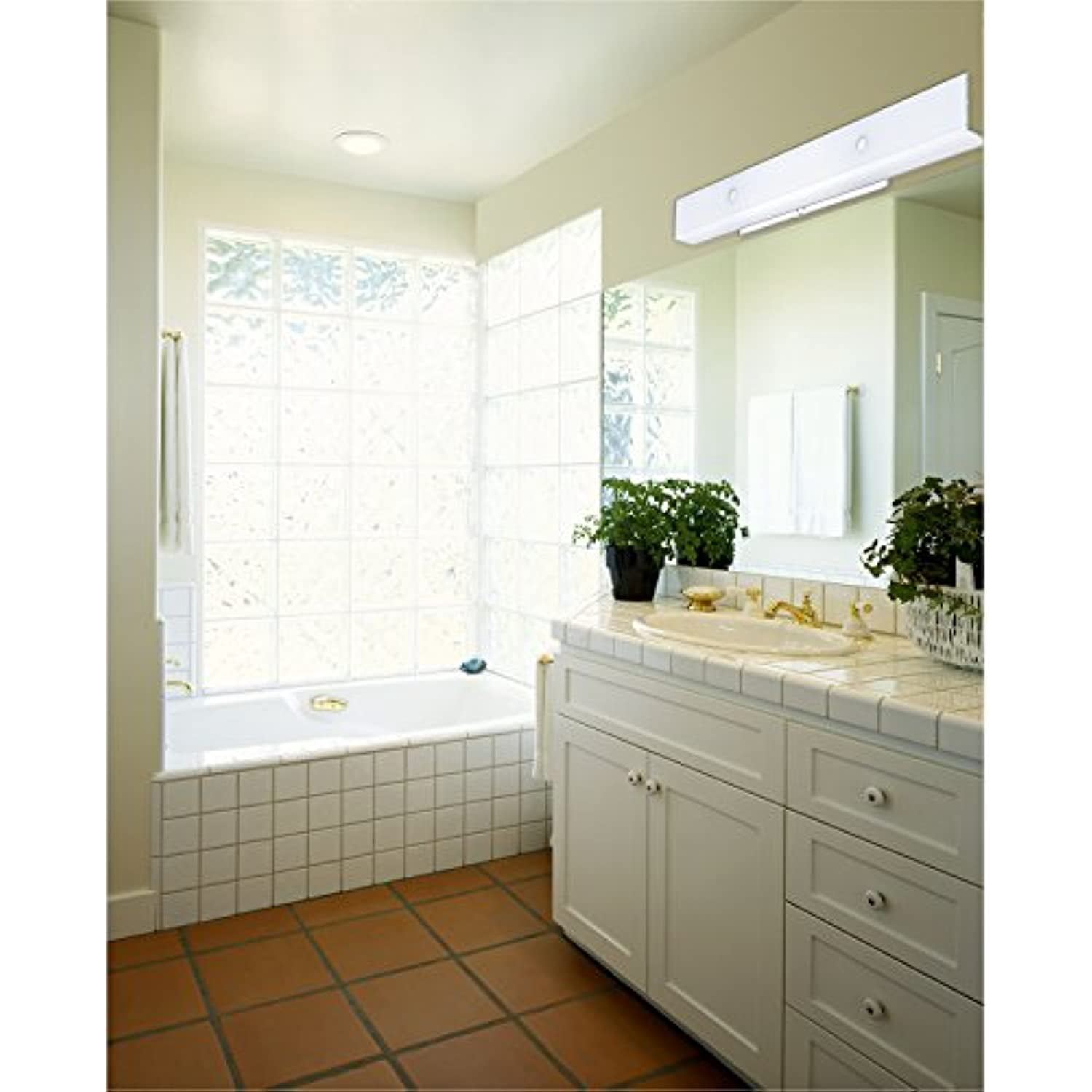 Westinghouse White 2 lights Incandescent Bathroom Channel Fixture Wall Mount