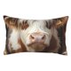 thumbnail image 1 of Fotbe Cow With Butterflies Funda de Almohada Decorativa Estilo Occidental, Lujo en Algodón, Fundas para Almohadas King, Cojín Estampado para Decoración del Hogar-14"x20", 1 of 6