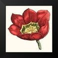 thumbnail image 2 of Vision Studio 15x15 Black Modern Framed Museum Art Print Titled - Tulip Garden VIII, 2 of 5