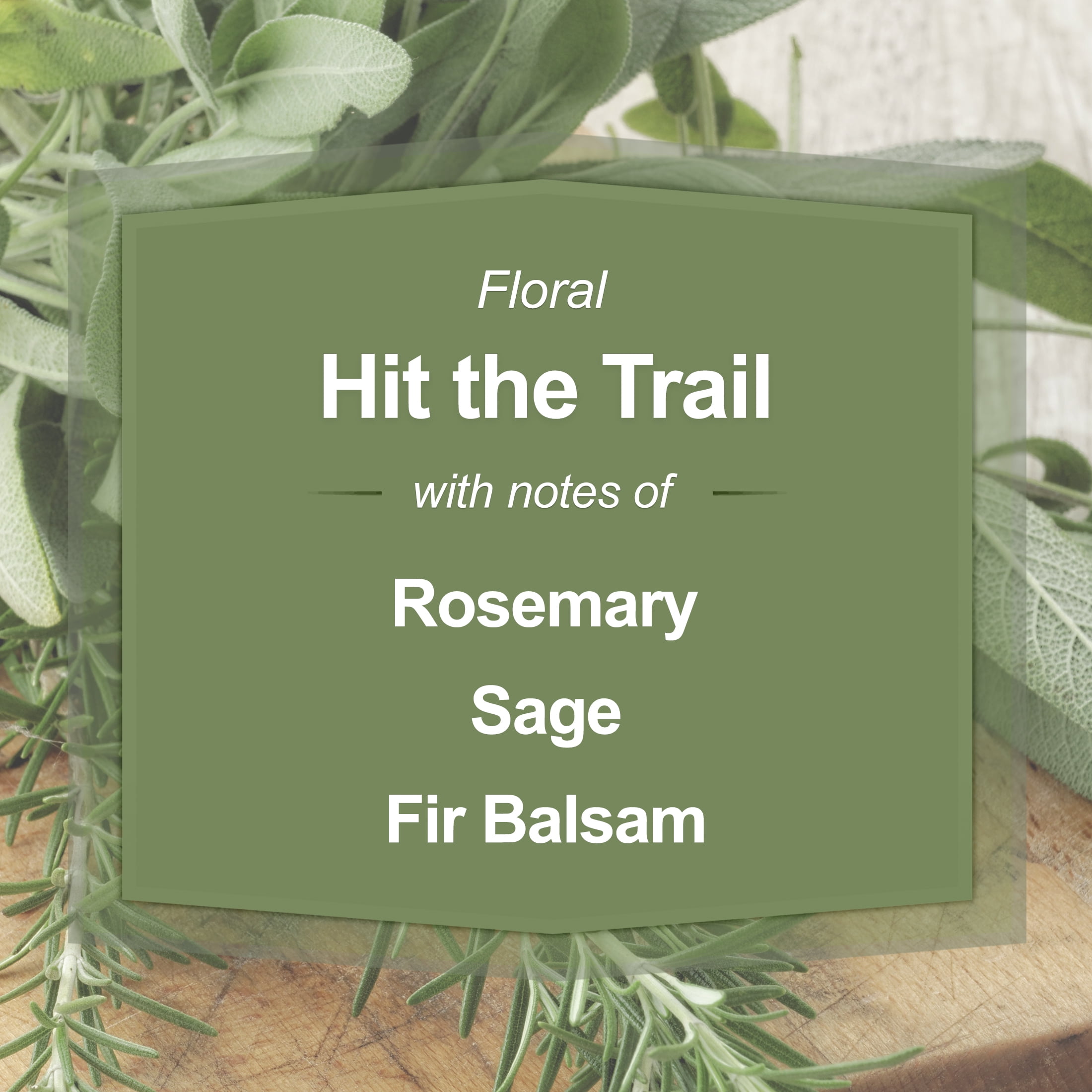 Mainstays Hit the Trail Candle with Three Wicks, 11.5 Oz, Aromatic Scent