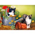 thumbnail image 1 of Diamond Painting (DB3348) Kits Gatos y Flores Cuadro Cuadrado Artesanía 45x60cm FLhrweasw Nuevo, 1 of 1