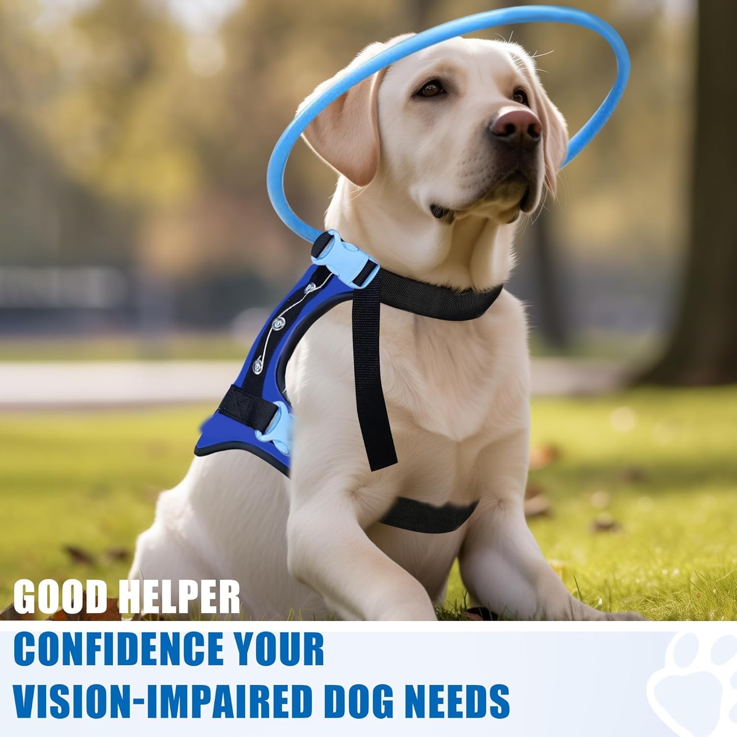 Blind Dog Halo Harness - Protective & Guiding Collar for Blind Dogs, Confidence Building Accessory, Extra Small