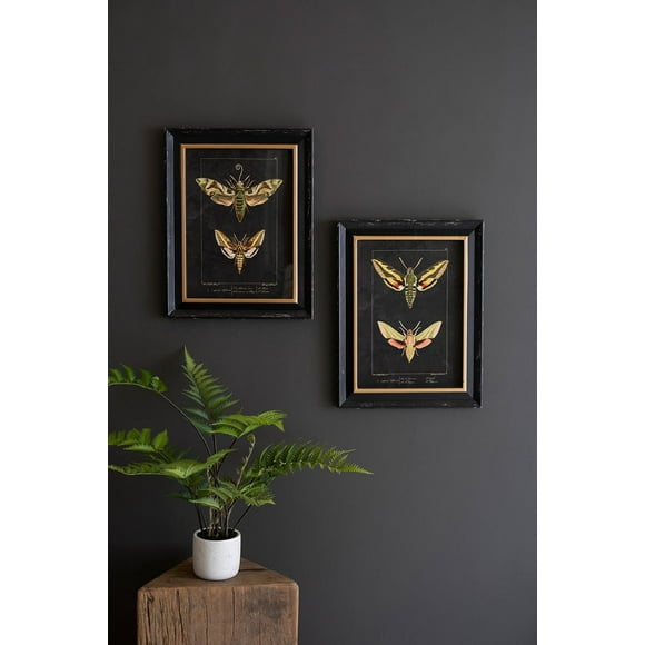 Set de impresión de mariposas enmarcadas Kalalou, 13,5 x 18 cm (juego de 2)