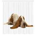 thumbnail image 2 of Ambesonne Basset Hound Shower Curtain, Long Eared Dog, 69"Wx75"L, Caramel Mustard, 2 of 4