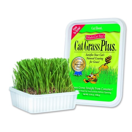 Photo 1 of Cat A'Bout Cat Grass Plus, 150 Gram Tub