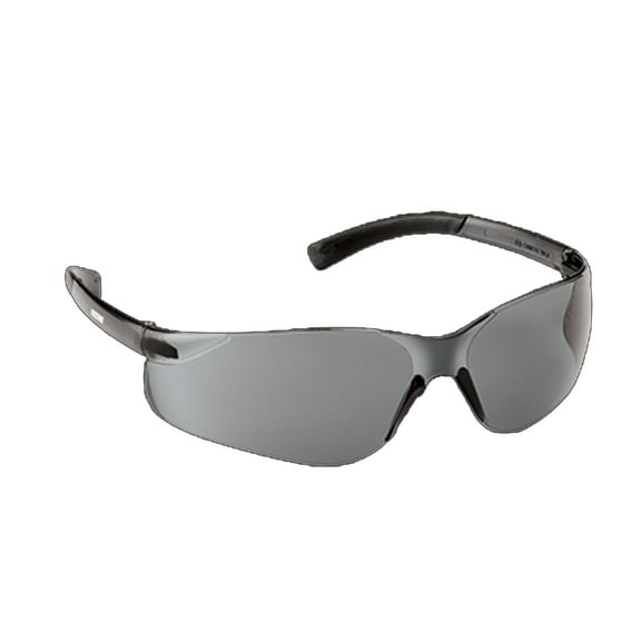 Echo Genuine OEM Replacement Lens - 102922455