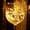 Warm White, variant on BadPiggies 6.6Ft 5Pack Fairy Lights, 20 LEDs Waterproof Outdoor Copper Wire String Lights, Battery Operated Mason Jar Lights, Firefly Starry Lights for DIY, Christmas,Wedding, Party(White)