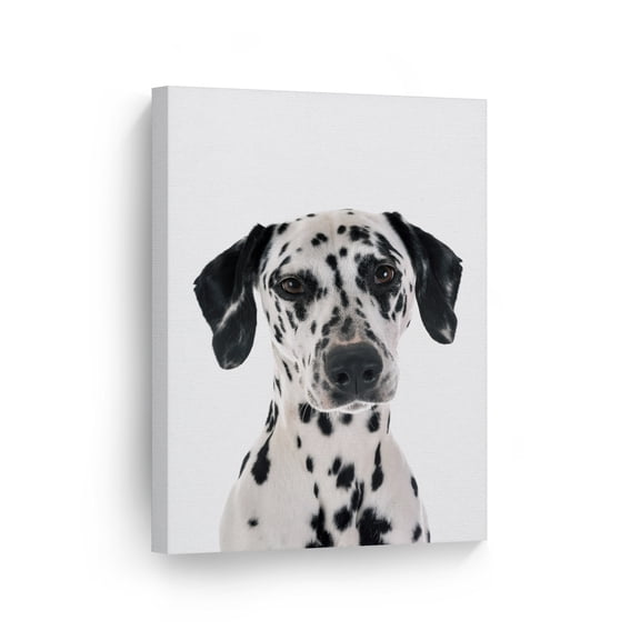 Smile Art Design Portrait of Beautiful Dalmatian Dog Puppy Animal Canvas Wall Art Print Pet Owner Dog Lover Mom Dad Gift Office Living Room Bedroom Kids Baby Nursery Room Decor Ready to Hang - 28x19