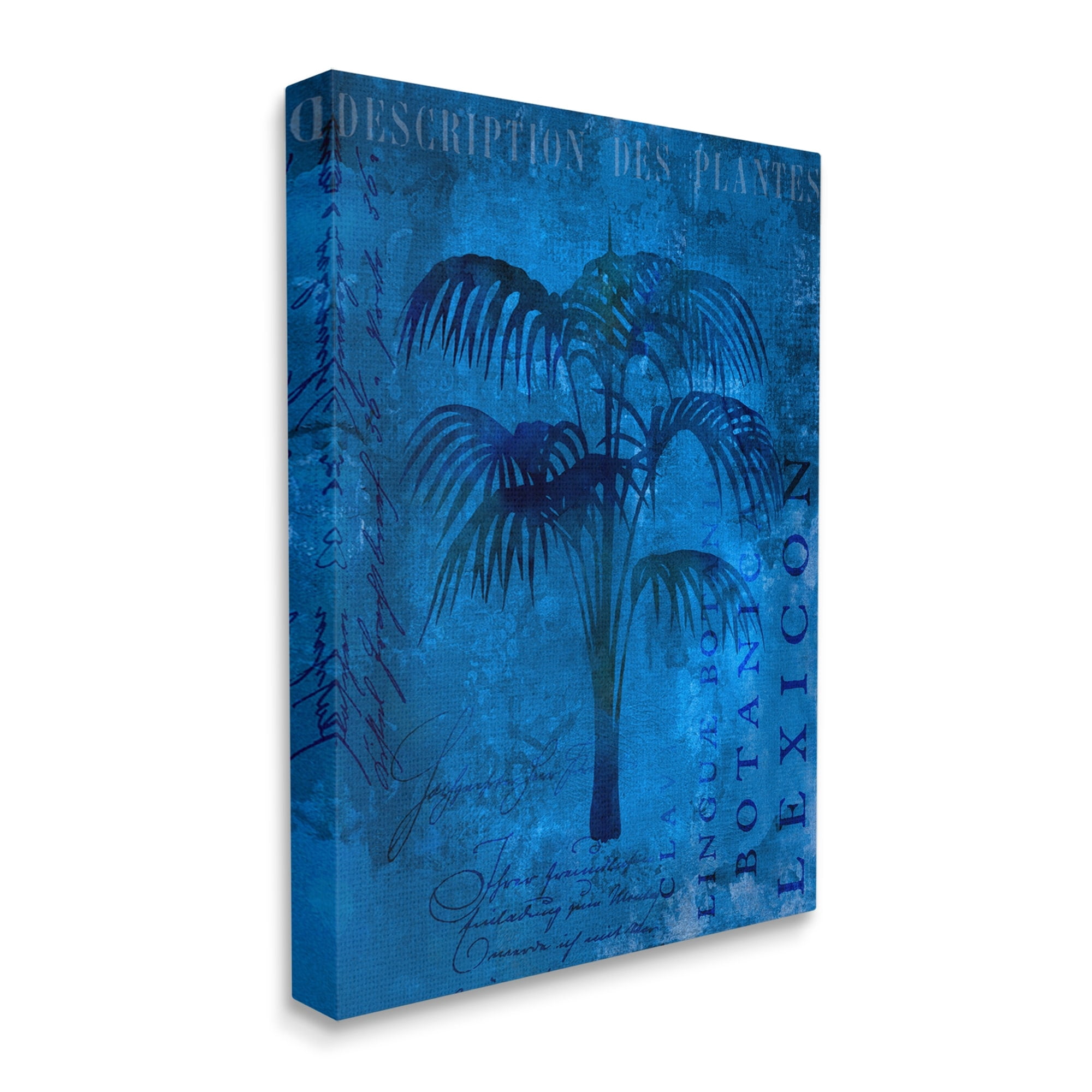 Stupell Tropical Palm Plant Collage Landscape Painting Gallery Wrapped Canvas Print Wall Art