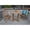 No Cushion, variant on Anderson Teak Montage Bristol 5-Pieces Dining Set