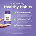 thumbnail image 6 of (2 pack) MaryRuth's Iron Gummies for Adults & Teens, Vegan, Cellular Health, Vitamin C, 60 Count, 6 of 11