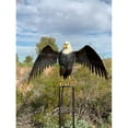 thumbnail image 1 of Esschert Design ZYCT822 Spring Mounted Metal Eagle Rocker Garden Stake - Large, 1 of 1