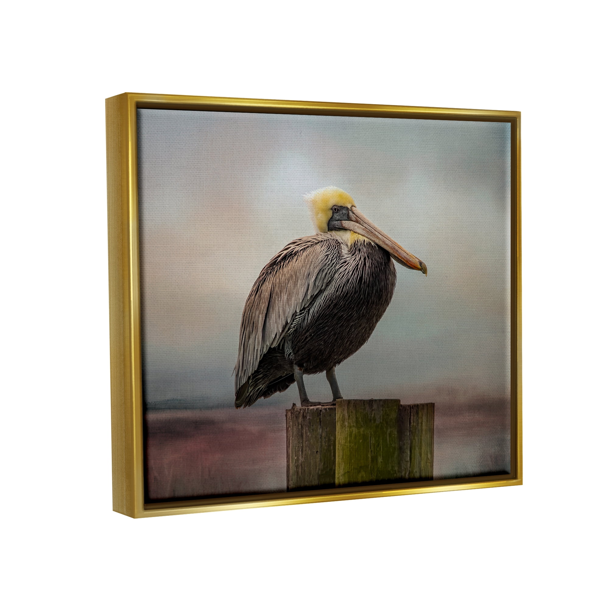 Stupell Pelican Perched Wildlife Nature Animals & Insects Photography Gold Floater Framed Art Print Wall Art