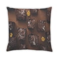 thumbnail image 2 of Ahgly Company Foods Brownie Outdoor Throw Pillow, 18 inch by 18 inch, 2 of 6