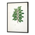 thumbnail image 3 of Designart 'Ancient Plant Life XX' Farmhouse Framed Canvas Wall Art Print, 3 of 5