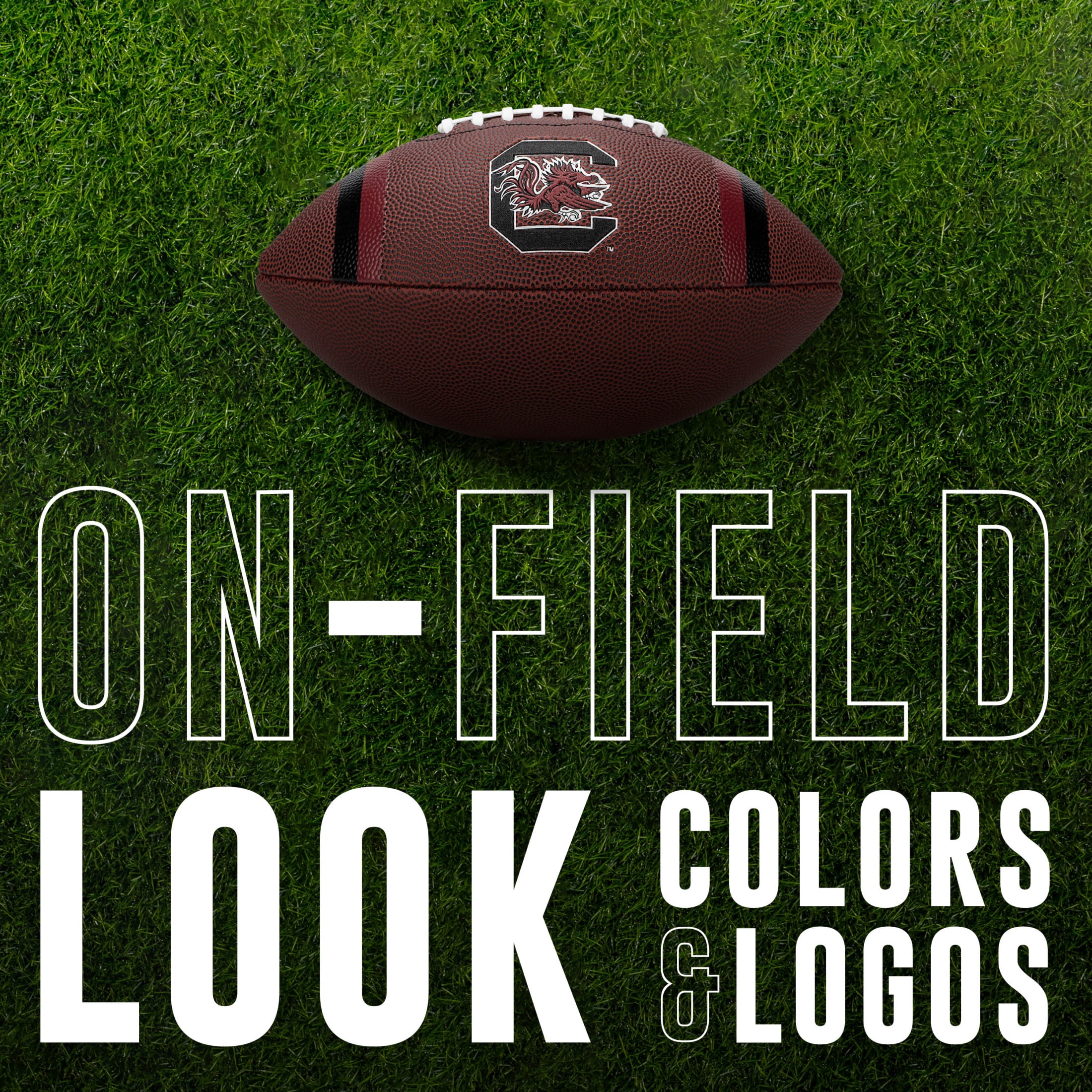 Franklin Sports South Carolina Gamecocks Kids NCAA Youth Football - Official College Team Junior Footballs with Team Logos for Kids - Kids Junior Size PVC Football - Backyard + Tailgate Ball - 8.5"