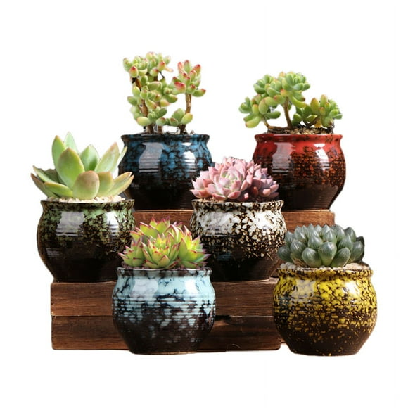Succulent Garden Pots, Adorable Ceramic Succulent Planters with Drainage Holes, Colorful Planters, Set of 6 - Plants Not Included