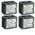 thumbnail image 1 of Kastar 4-Pack DZ-BP14 Battery Replacement for Hitachi DZ-GX25M, DZ-GX3100, DZ-GX3200, DZ-GX3300, DZ-GX5300, DZ-GX5000A, DZ-GX5020, DZ-HS300, DZ-HS300A, DZ-HS300E, DZ-HS301E, DZ-HS301SW Camera, 1 of 3