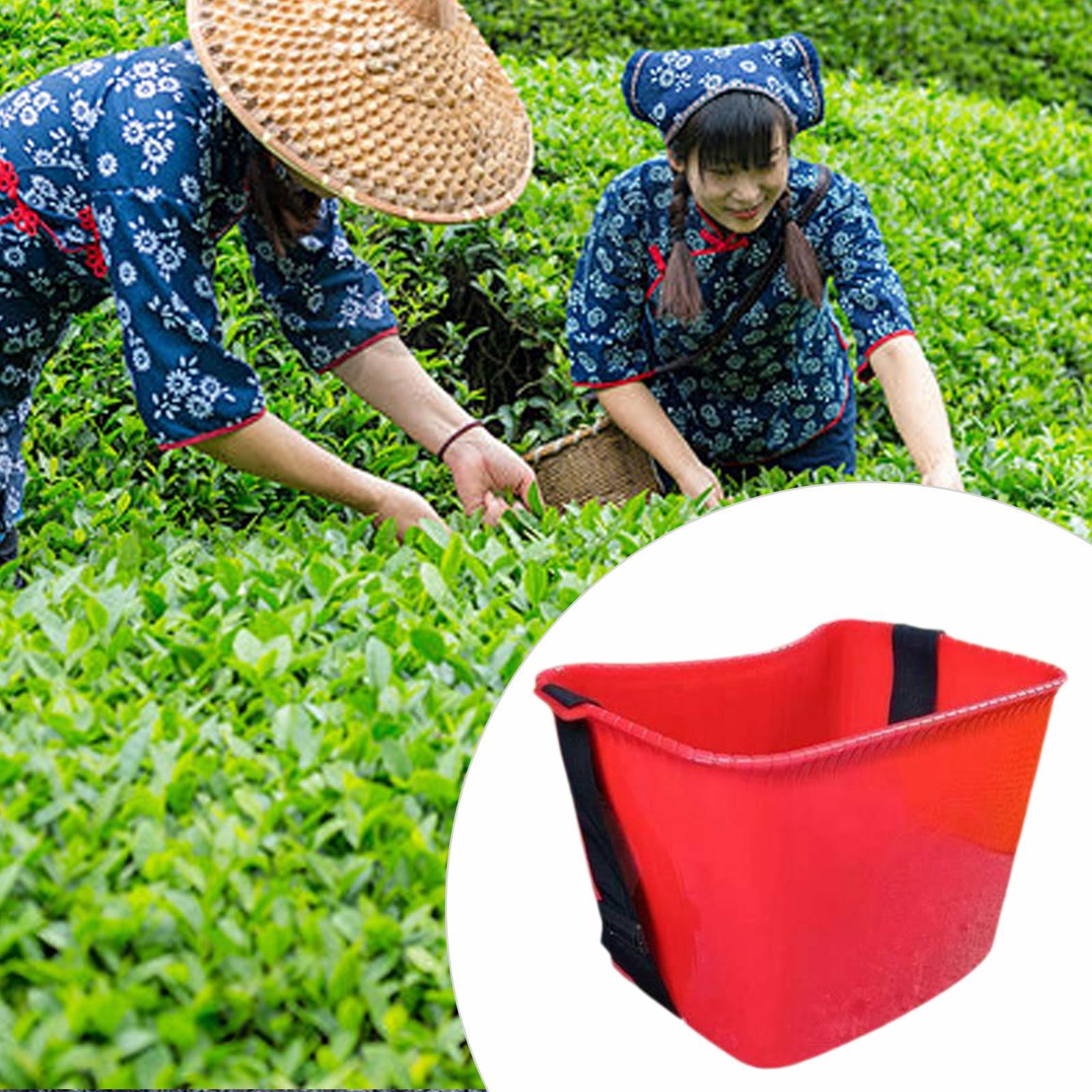 WLPZXP Fruit Picking Basket Organizer Holder Multifunctional Lightweight Practical with Red
