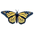 thumbnail image 1 of Premium Tiger Swallowtail Butterfly Fridge Magnet with Built-In Strong Magnet – Realistic 3D Insect Décor, Double-Sided Color, Flexible Durable Wings for Kitchen & Office, 1 of 5