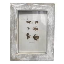 DESIGNICE Vintage Picture Frames,Smooth Texture Small Picture Frames,Vintage Blend Photo Frame,7.88"X5.91",White