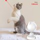 thumbnail image 5 of Juguete para Gato Con Láser Artefacto Autofelicidad Con Carga USB Juguete para Gato, 5 of 9