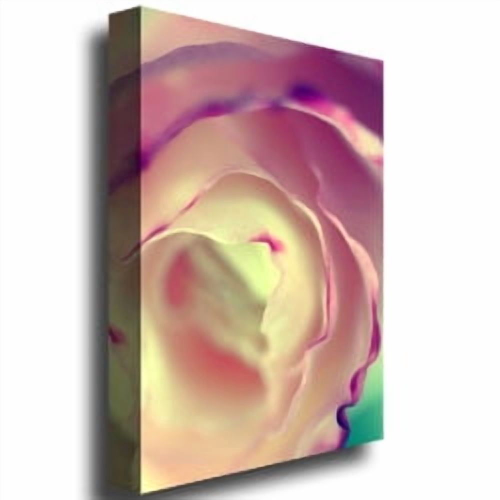 Trademark Fine Art "Flavors of Summer" Canvas Art by Beata Czyzowska Young