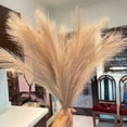 thumbnail image 6 of 10PCS Faux Pampas Grass, 22.3" Short Artificial Pompous Grass Floral Fake Pompas Grass Branches Vase Filler Flower Arrangement for Home Wedding Boho Decor, 6 of 8