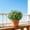Green, variant on AUNVITO Artificial Green Leaf Flower Plant, Lifelike Fake Foliage Potted Decor, Sunproof Outdoor Floral Ornament for Patio Yard Garden Home Indoor Table Arrangement