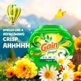 thumbnail image 5 of Gain Flings Laundry Detergent Soap Pacs, 3-in-1 Oxi Boost and Febreze, Original Scent, 60 Count, 5 of 14
