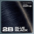 thumbnail image 2 of Clairol Nice’n Easy Permanent Hair Color, 2B Blue Black, 2 of 7