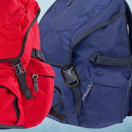 WASHWEPE 10Pcs Carabiner Clip for Outdoor Enthusiasts Aluminum Alloy Heavy Duty Design