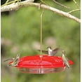 thumbnail image 1 of Aspects HummZinger Mangeoire Suspendue pour Colibris Excel avec Fosse pour Fourmis Intégrée - Article 143, 1 of 2