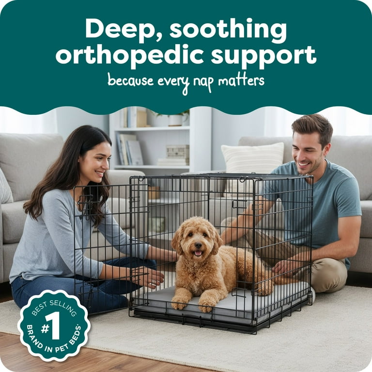 FurHaven Pet Products Restful Dreamer Medium Orthopedic Foam