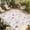 Pink, variant on Spring Floral Outdoor Rug for Patio/Deck/Porch, Non-Slip Large Area Rug 5 x 7 Ft, Pastoral Summer Flowers Botanical Indoor Outdoor Rugs Washable Area Rugs, Reversible Camping Rug Carpet Runner