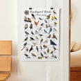 thumbnail image 3 of Where's Wildlife Backyard Birds of Wisconsin Bird Identification Poster (20" x 30"), 3 of 3